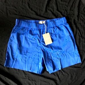 Everlane Easy Short, Cerulean Blue, size 16 🩳 NWT